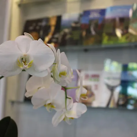 Altavilla Boutique 4*