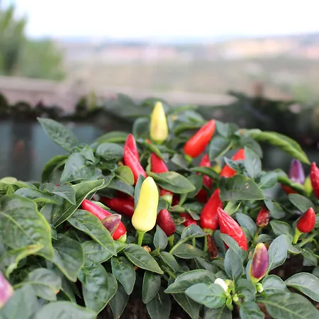 Altavilla Boutique Hotel 4*