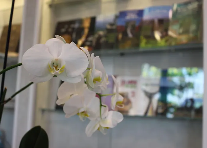 Altavilla Boutique 4*