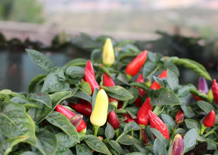 Altavilla Boutique Hotel 4*